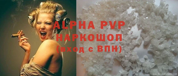 стаф Богданович